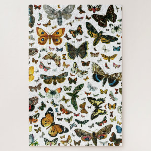 Puzzle Collage papillon - une multitude de papillons et d