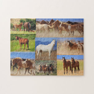 Puzzle Collage photo de chevaux