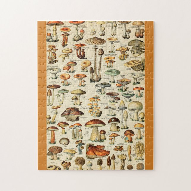 Puzzle Collection de champignons (Vertical)