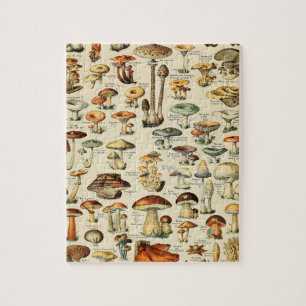 Puzzle Collection de champignons
