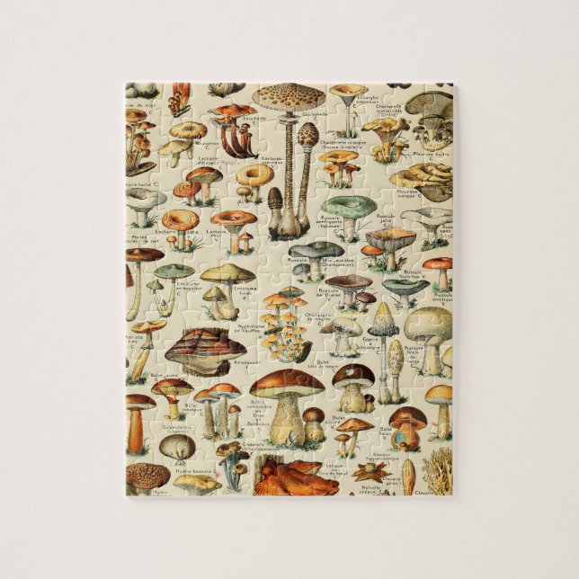 Puzzle Collection de champignons (Vertical)