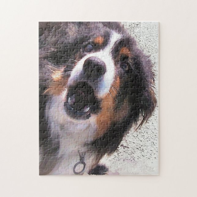 PUZZLE COLLIE FRONTALIÈRE (Vertical)