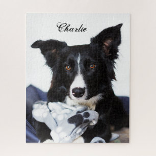 Puzzle Collie frontière noire et blanche personnalisée