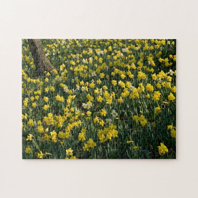 Puzzle Colline de jonquille - fleurs jaunes et blanches (Horizontal)