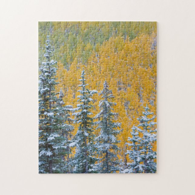 Puzzle Colorado, Grand Mesa. Chute de neige précoce dans  (Vertical)