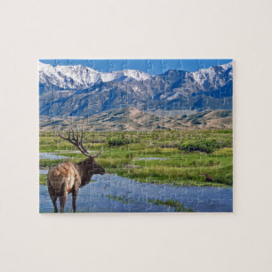 Puzzle Colorado Rocky Mountains Elk