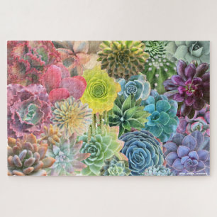 Puzzle coloré arc-en-ciel Succulent