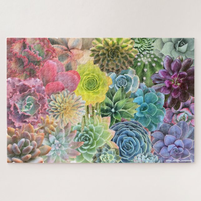 Puzzle coloré arc-en-ciel Succulent (Horizontal)