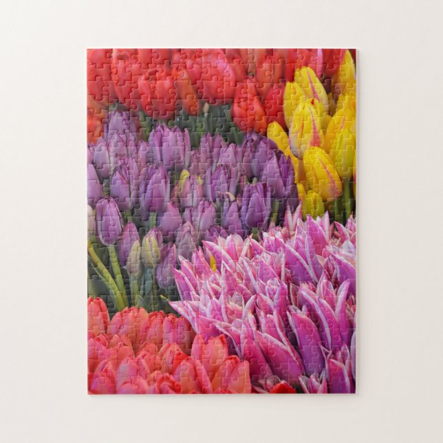 Puzzle coloré de tulipes de ressort (Vertical)