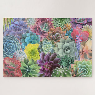 Puzzle coloré et succulent