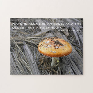 Puzzle Colorful Mushroom Busting Through