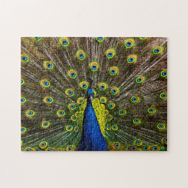 Puzzle Colorful peacock (Horizontal)