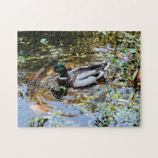 Puzzle con anatra nello stagno Duck puzzle in