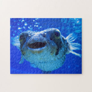 Puzzle Conception bleue du poisson-brousse