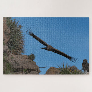 Puzzle Condor andin à Colca Canyon, Pérou