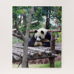 Puzzle Conseil Panda - Pas de dépression, si vous drôle "