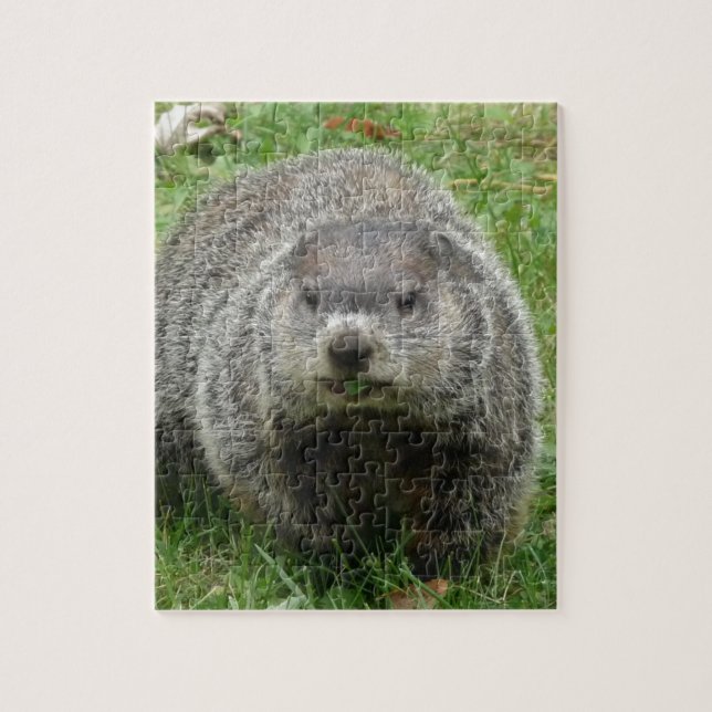 Puzzle Consommation de Groundhog (Vertical)