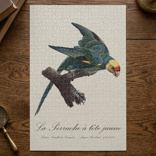 Puzzle Conure de Caroline, Conuropsis carolinensis