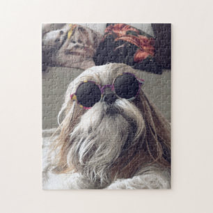 Puzzle Cool Shih Tzu cheveux longs Lunettes de soleil vin