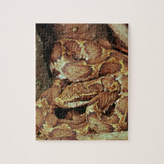 Puzzle Copperhead japonais