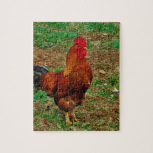 Puzzle Coq