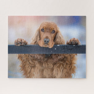 Puzzle Coq Brown Fluffy Personnalisé Chien Espagnol