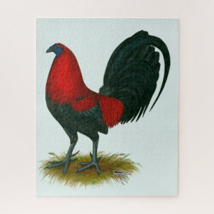 Puzzle Coq de combat américain :  Brun Rouge