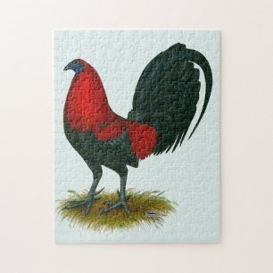 Puzzle Coq de combat américain : Brun Rouge