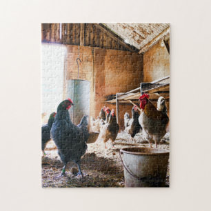 Puzzle Coq et poules à l'intérieur de la grange