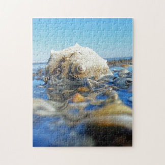 Puzzle Coquillage dans l'eau