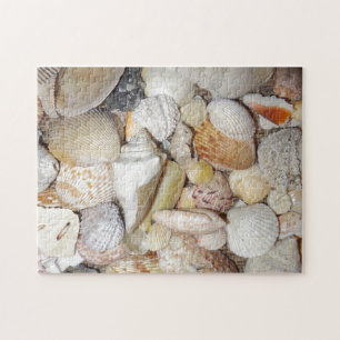 Puzzle Coquillages