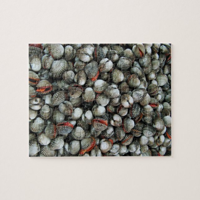 Puzzle Coquilles de Coques Rougeâtres (Horizontal)