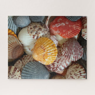 Puzzle Coquilles Saint-Jacques colorées