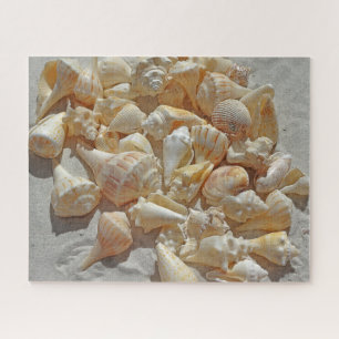 Puzzle - Coquilles Sur La Plage