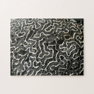 Puzzle Corail noir et blanc II Photo de nature abstraite