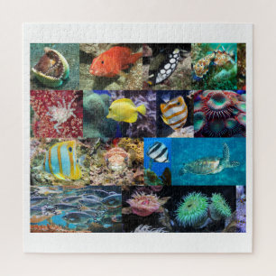 Puzzle Coral Reef Marine Life Collage, 10 ans, 676 pièce