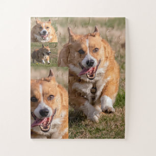 Puzzle Corgi Fun Kids