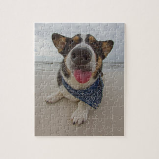 Puzzle Corgi mignon avec la langue