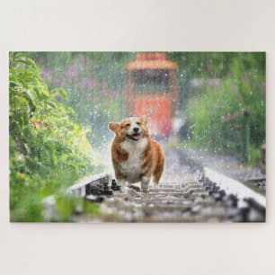 Puzzle Corgi se promenant sur les rails