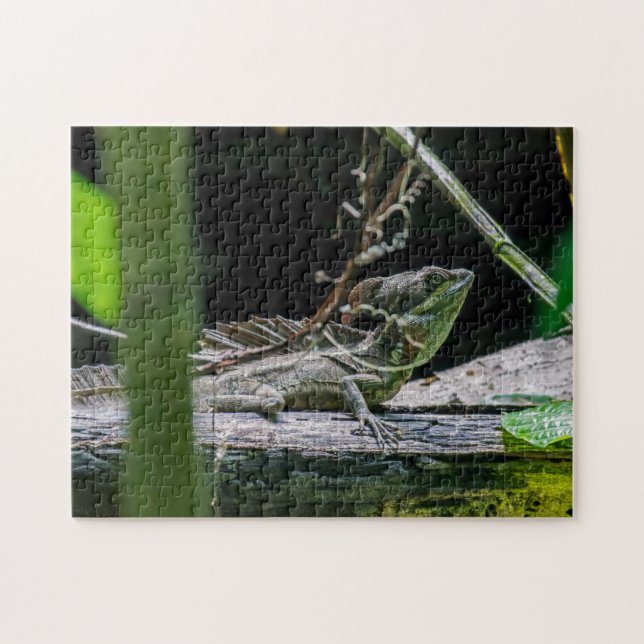 Puzzle Costa Rica - Homme Émeraude Basilisque Lizard (Horizontal)