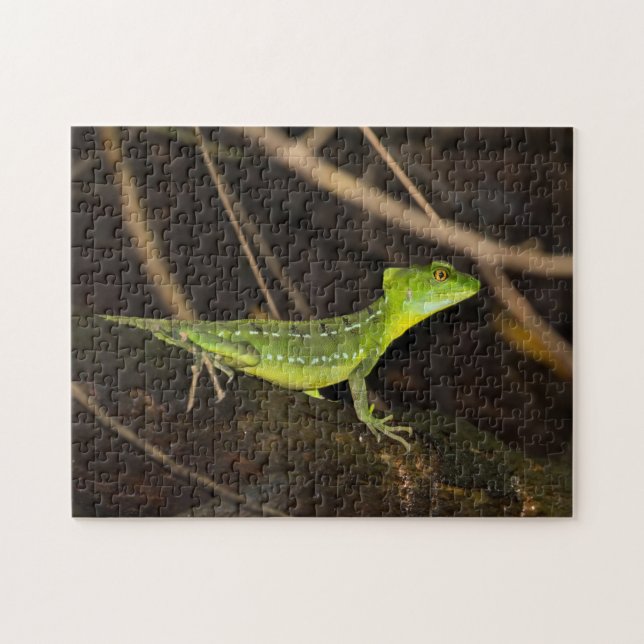 Puzzle Costa Rica, Tortuguero - Emerald Basilisk Lizard (Horizontal)