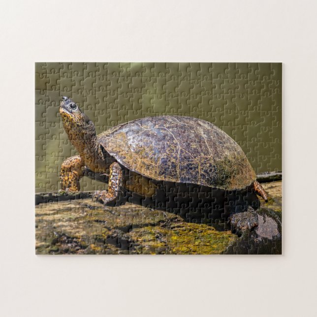Puzzle Costa Rica, Tortuguero - Tortue (Horizontal)