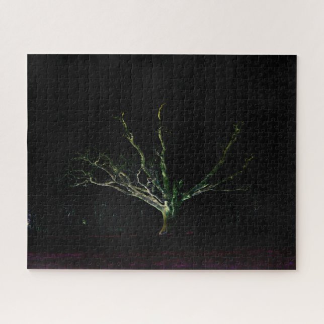 Puzzle Côté sombre 1 jpcna 1 16x20 520pc (Horizontal)