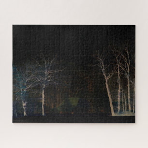 Puzzle Côté sombre 4 16x20 520pc jpa