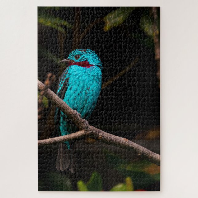 Puzzle Cotinga rayée (Vertical)
