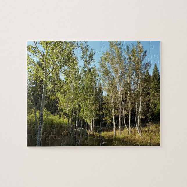 Puzzle Cottonwoods le long de Moose Ponds Trail à Grand T (Horizontal)