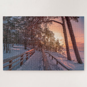 Puzzle Coucher de soleil d'hiver dans la pinède près de l
