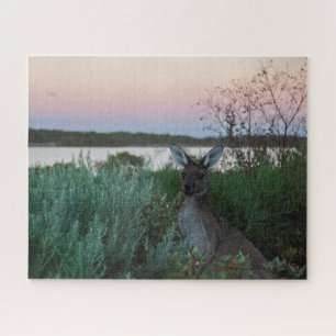 Puzzle Coucher de soleil Kangaroo au lac Australie, 520 p