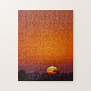 Puzzle Coucher de soleil sur les orangers San Diego