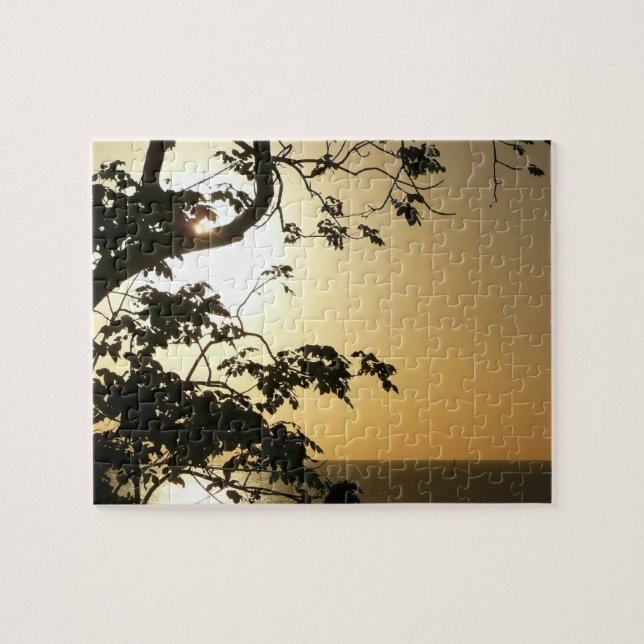 Puzzle Coucher du soleil à travers les arbres II Photogra (Horizontal)